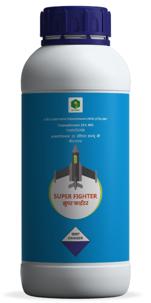 Sunshine Super Fighter