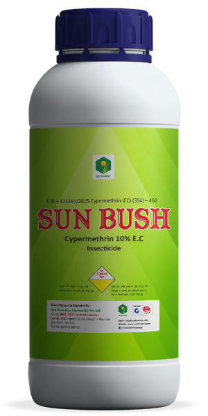 Sun Bush